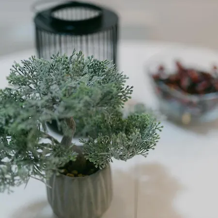 Backa Idila * Backi Gracac