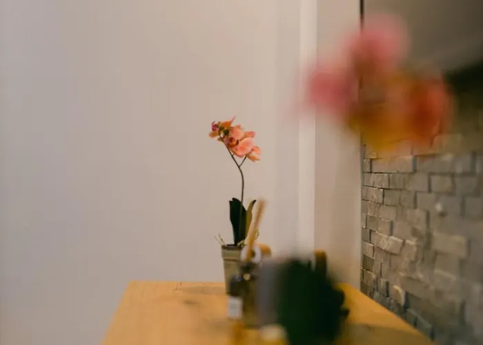 Apartamento Backa Idila