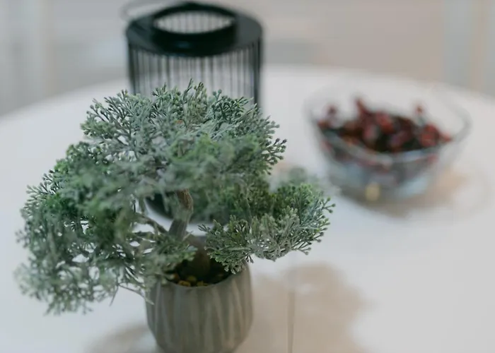 Backa Idila * Backi Gracac